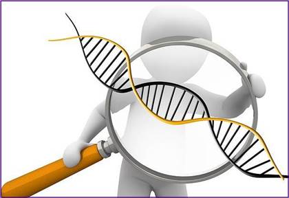 Research Writer
